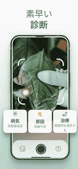 com.codeway.plantapp