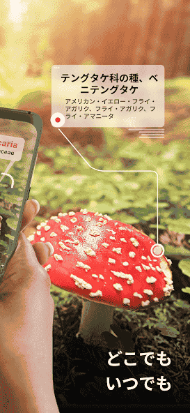 com.glority.picturemushroom