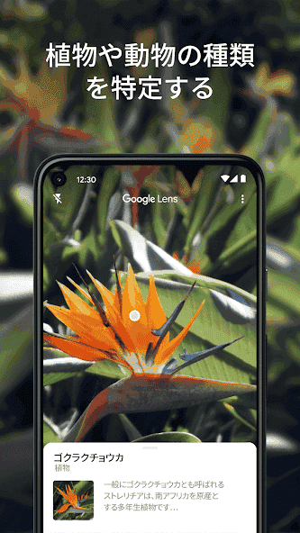 com.google.ar.lens