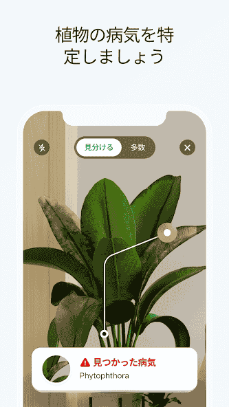 com.scaleup.plantid