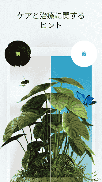 com.scaleup.plantid
