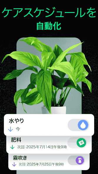 plant.identification.flower.tree.leaf.identifier.identify.cat.dog.breed.nature