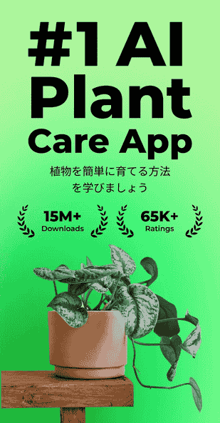 plant.identification.snap